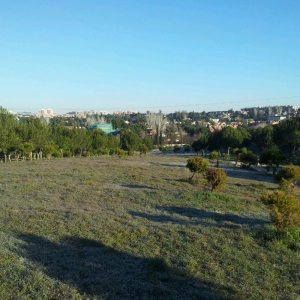 Zona Conde Orgaz Madrid